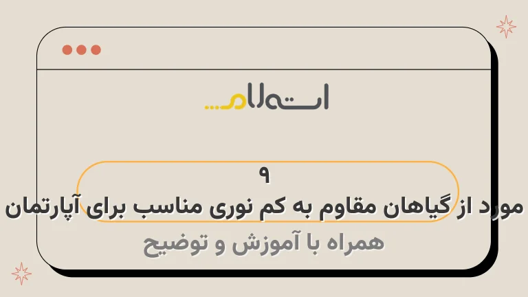 9 مورد از گیاهان مقاوم به کم نوری مناسب برای آپارتمان